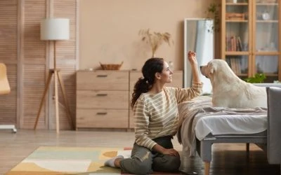 How to Make Puppy Training Successful For Your LA Pup!