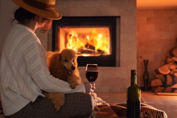 toxic foods for dogs in Los Angeles