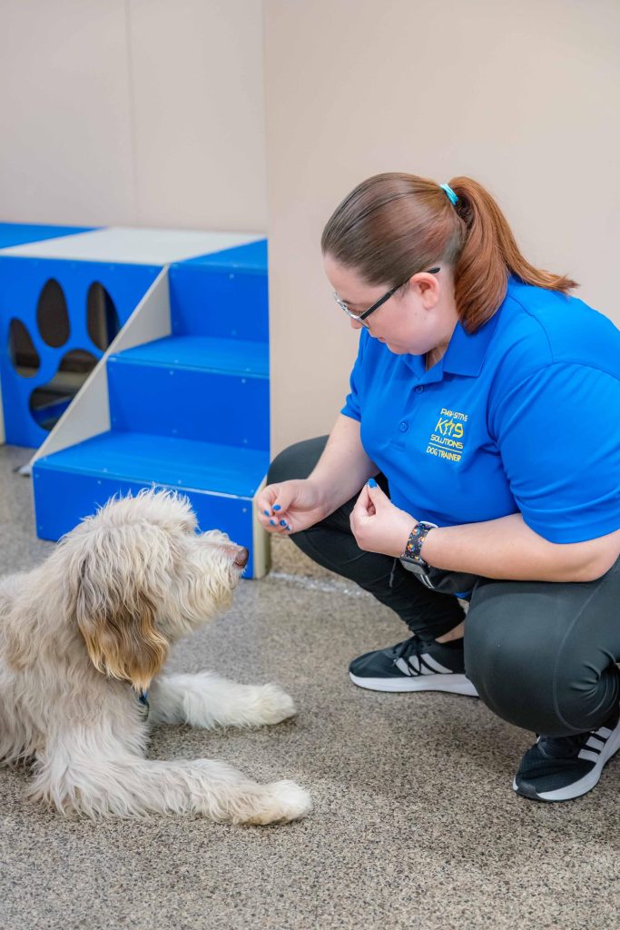 Professional dog trainer gently interacting with a dog during concierge dog boarding care