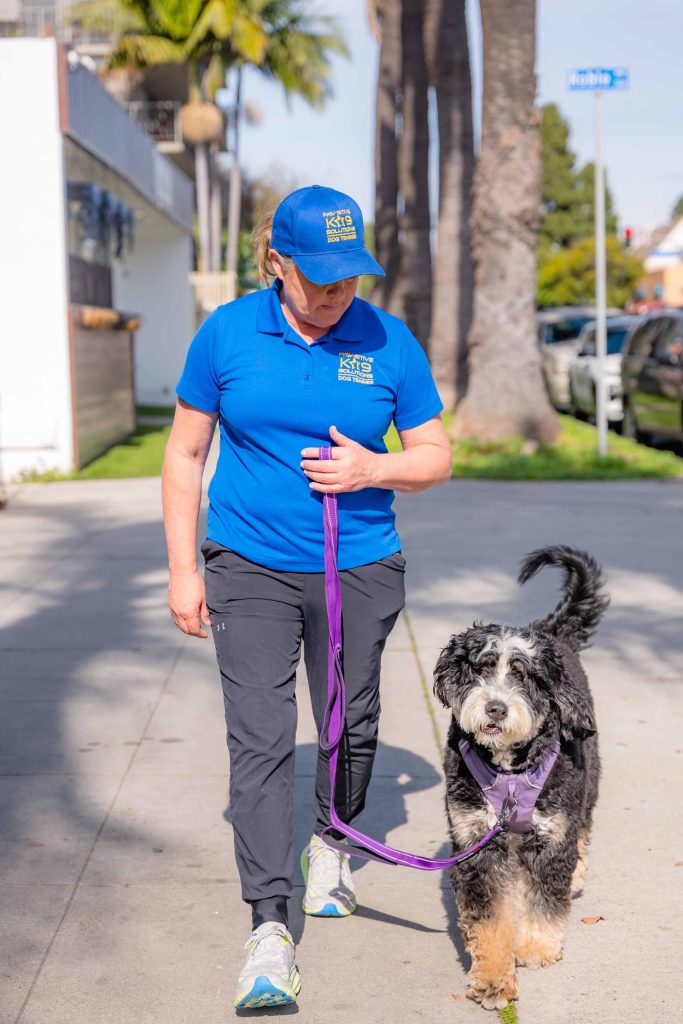 Professional trainer walking a dog during luxury dog boarding in Long Beach