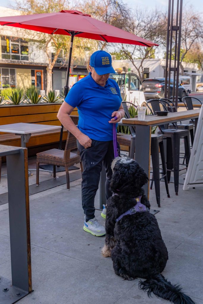 Dog owner walking a dog on leash during luxury dog boarding in Long Beach