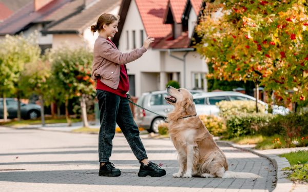 urban-dog-training-in-LA-dog-trainer-near-me-