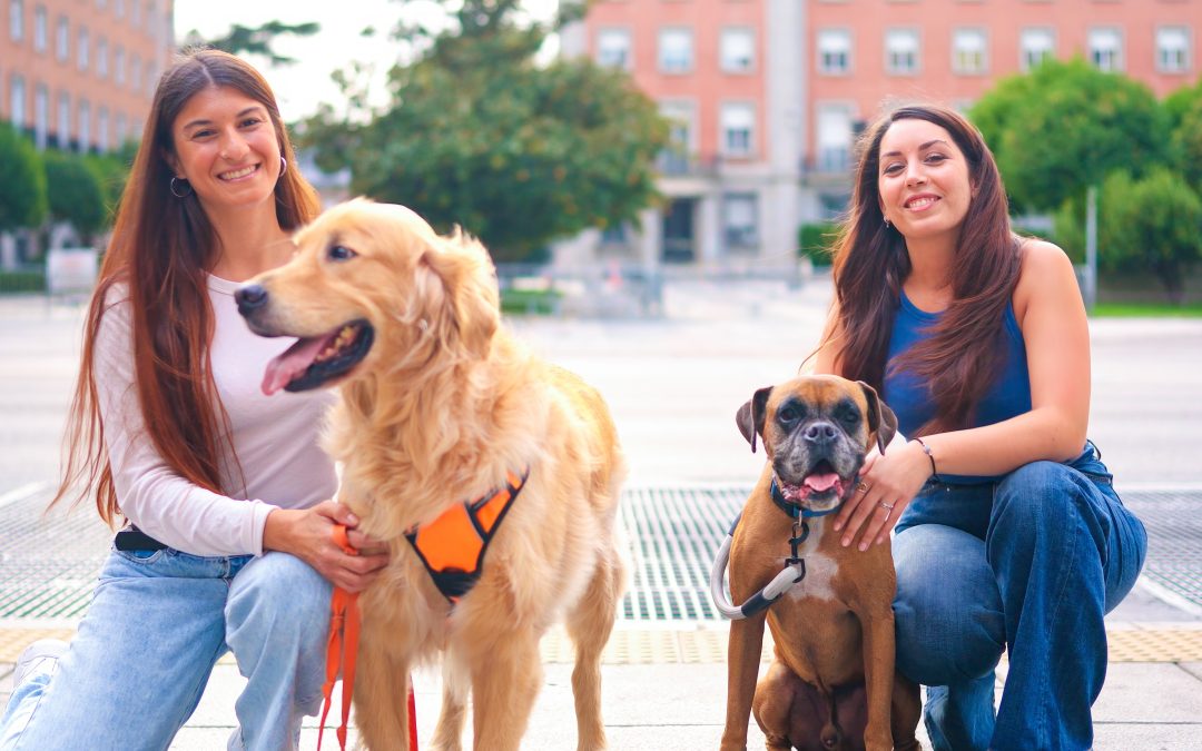 Is Your Dog Struggling with City Life? How Urban Dog Training in LA Builds Confidence