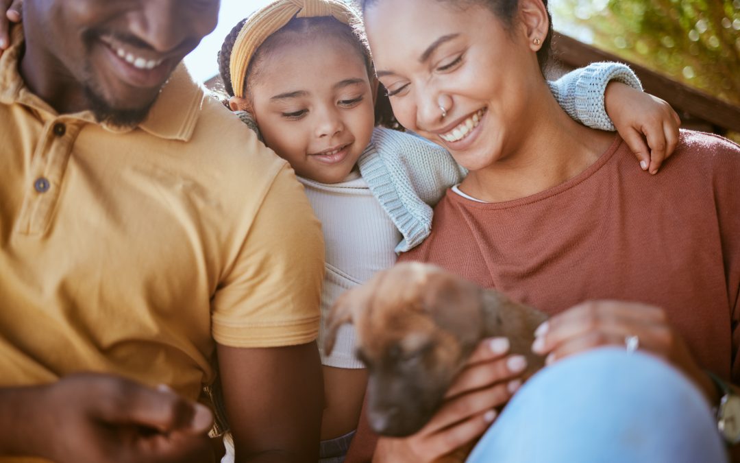 Before You Get a Dog: How to Choose a Dog That Fits Your Lifestyle