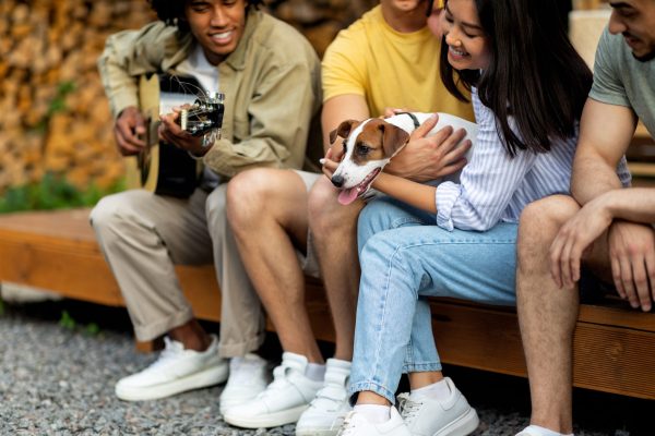 Before You Get a Dog: How to Choose a Dog That Fits Your Lifestyle