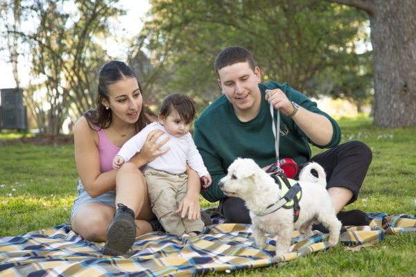 Before You Get a Dog: How to Choose a Dog That Fits Your Lifestyle